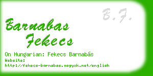 barnabas fekecs business card